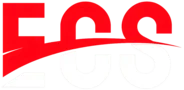 Ecom Courier and Cargo Service